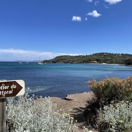Studio Cabine Climatise 800 M De La Plage Et Des Commerces 博尔马斯·莱斯·米默萨斯 外观 照片