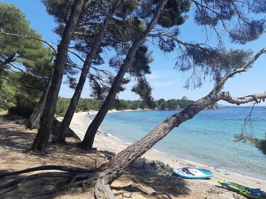 Studio Cabine Climatise 800 M De La Plage Et Des Commerces 博尔马斯·莱斯·米默萨斯 外观 照片
