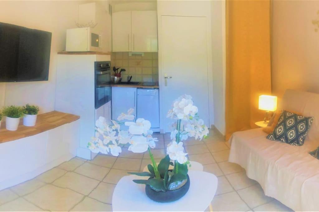 Studio Cabine Climatise 800 M De La Plage Et Des Commerces 博尔马斯·莱斯·米默萨斯 外观 照片