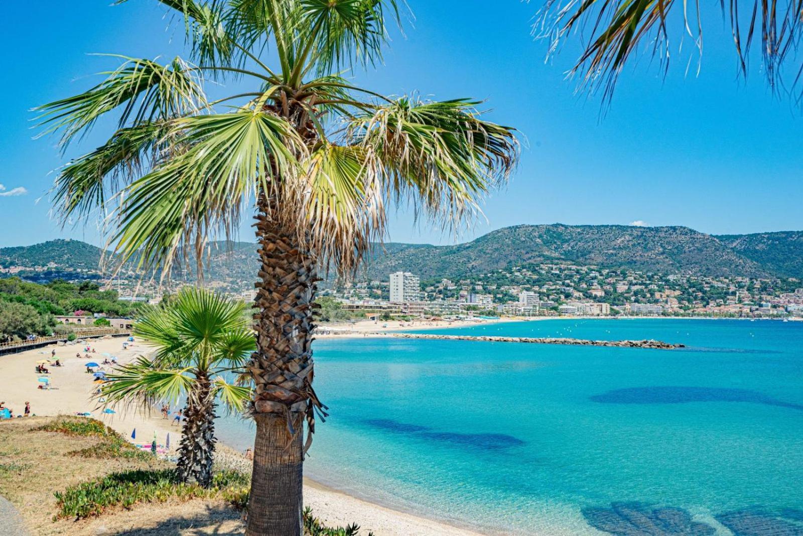 Studio Cabine Climatise 800 M De La Plage Et Des Commerces 博尔马斯·莱斯·米默萨斯 外观 照片